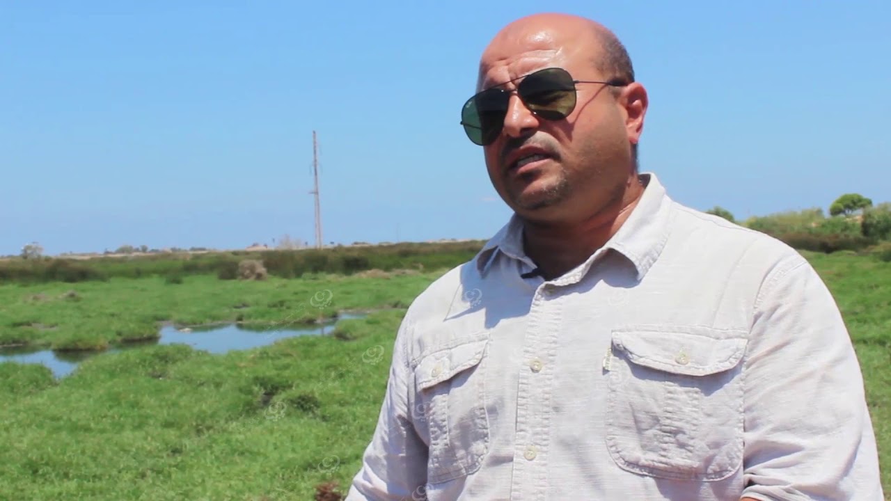حميد الغزلان